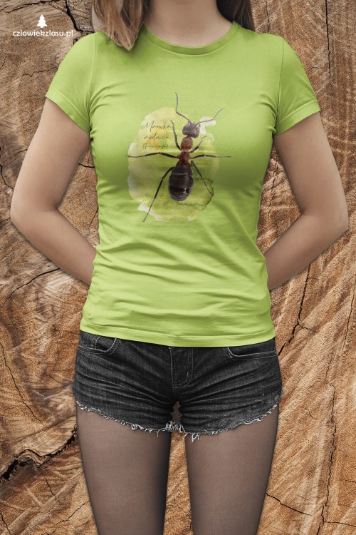 Koszulka Mrówka rudnica – Formica rufa upominek dla hodowcy mrówek