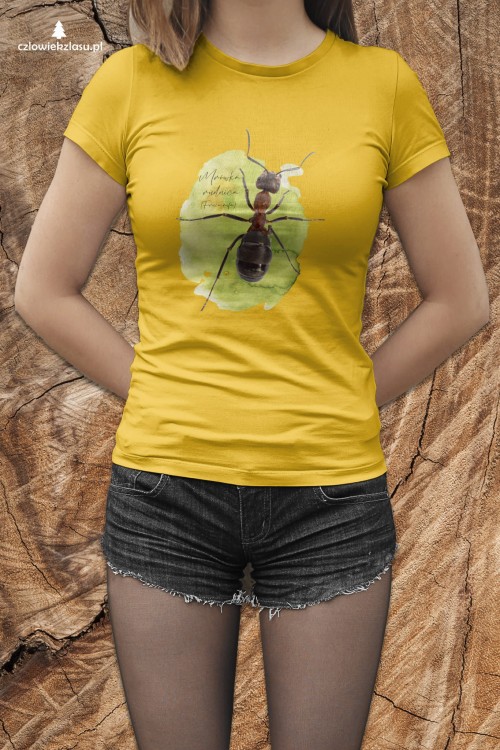Koszulka Mrówka rudnica – Formica rufa prezent dla pasjonata przyrody