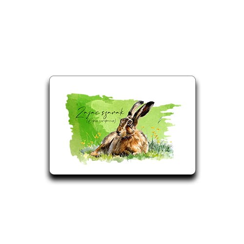 Zając szarak /Lepus europaeus/2 - Magnes