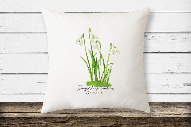 Śnieżyczka przebiśnieg /Galanthus nivalis L./ – prezent dla botanika, prezent dla florysty, miłośnika roślin - Poduszka