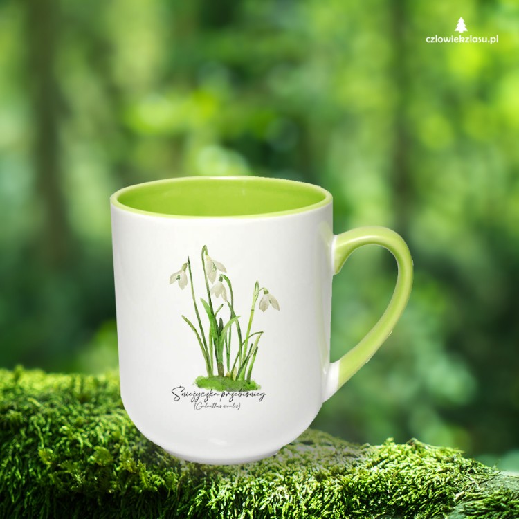 Śnieżyczka przebiśnieg /Galanthus nivalis L./ – prezent dla botanika, prezent dla florysty, miłośnika roślin - Kubek coffee
