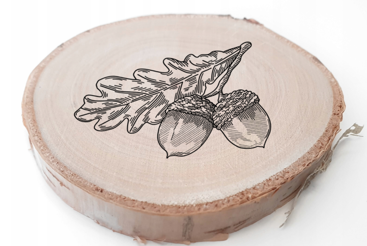 Dąb bezszypułkowy - Quercus petraea - Drewno brzozowe - Podkładka