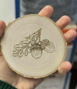 Dąb bezszypułkowy - Quercus petraea - Drewno brzozowe - Podkładka