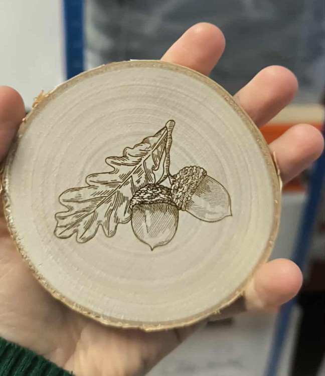 Dąb bezszypułkowy - Quercus petraea - Drewno brzozowe - Podkładka