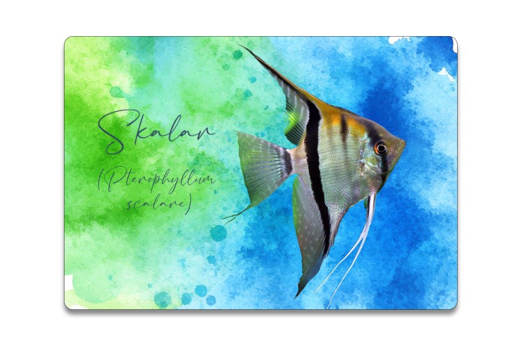 Skalar /Pterophyllum scalare/ - Prezent dla akwarysty - Podkładka pod myszkę