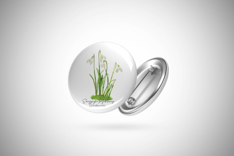 Śnieżyczka przebiśnieg /Galanthus nivalis L./ – prezent dla botanika, prezent dla florysty, miłośnika roślin - Przypinka - Button
