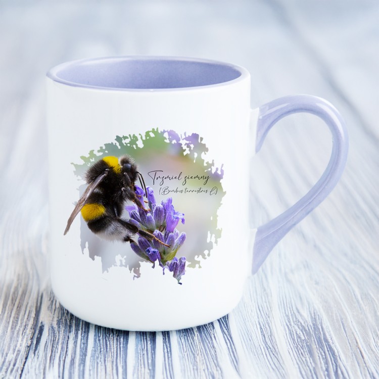 Trzmiel ziemny /Bombus terrestris/ - Prezent dla miłośnika owadów - Kubek coffee fioletowy