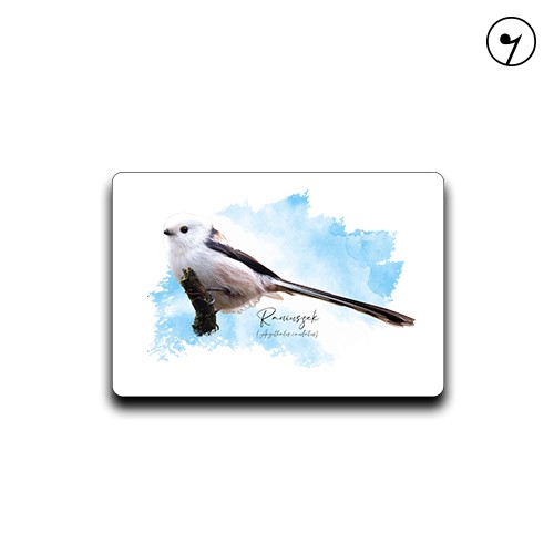 Raniuszek /Aegithalos caudatus/ - prezent dla ornitologa - Magnes