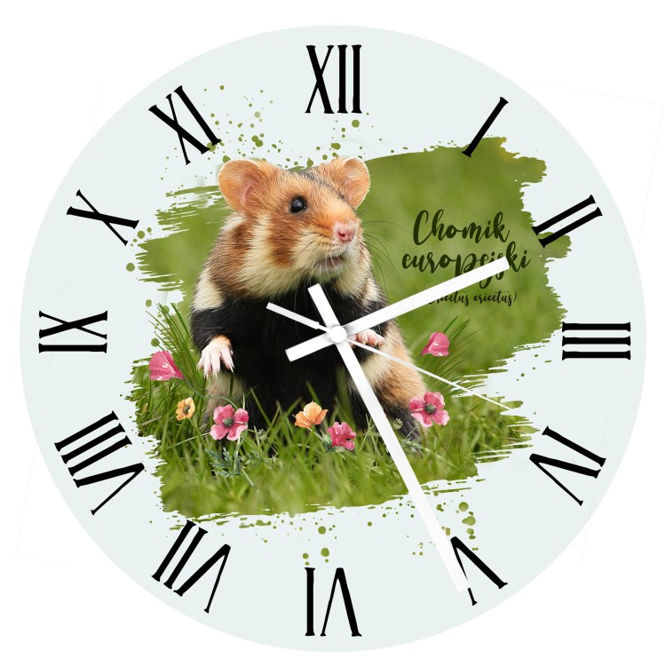 Zegar - Chomik europejski /Cricetus cricetus/ - Pies ziemny