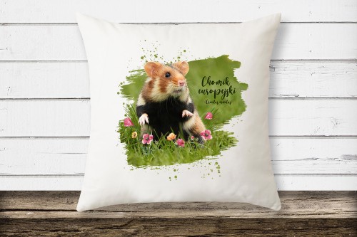 Chomik europejski /Cricetus cricetus/ - Pies ziemny - Poduszka