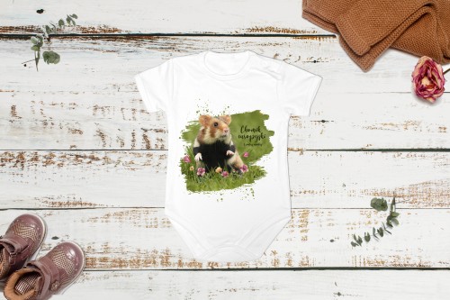 Body - Bodziak - Chomik europejski /Cricetus cricetus/2- Pies ziemny