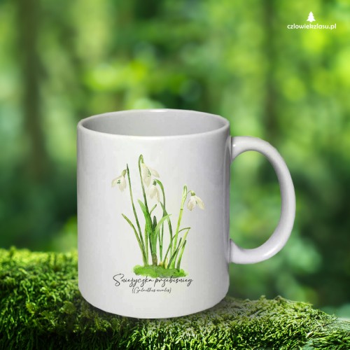 Śnieżyczka przebiśnieg /Galanthus nivalis L./– prezent dla botanika, prezent dla florysty, miłośnika roślin - kubek ceramiczny