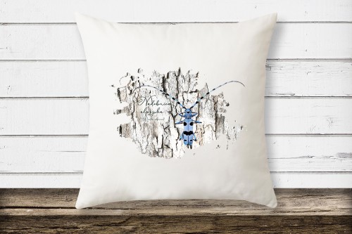 Nadobnica alpejska /Rosalia alpina/ - Poduszka