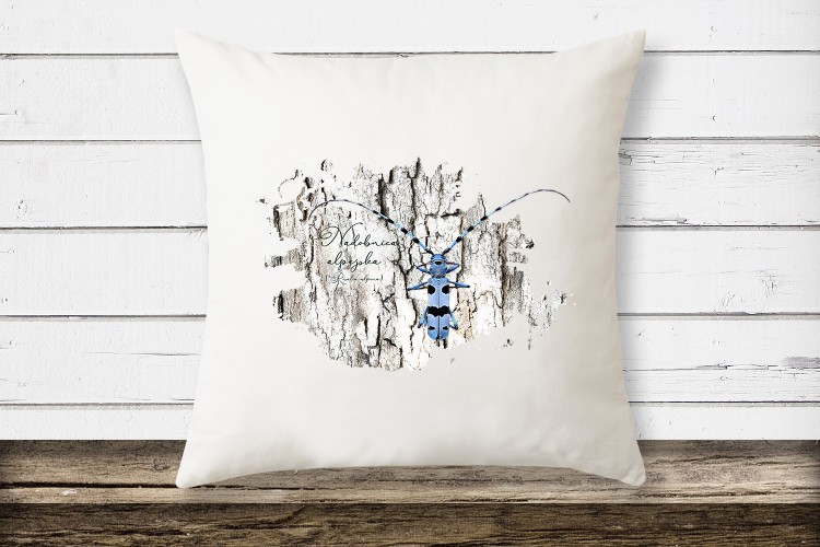 Nadobnica alpejska /Rosalia alpina/ - Poduszka