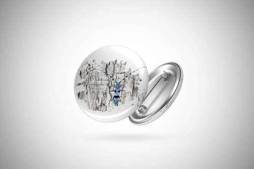 Nadobnica alpejska /Rosalia alpina/- Przypinka - Button