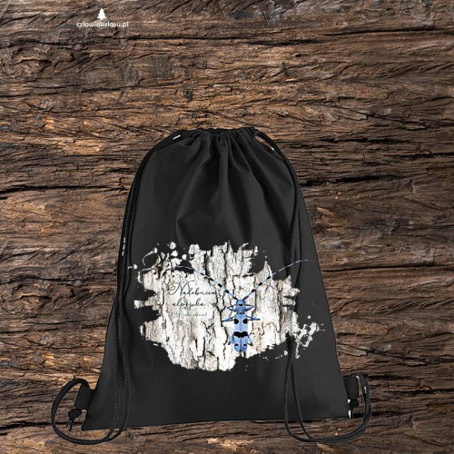 Nadobnica alpejska /Rosalia alpina/ - Worek-Plecak