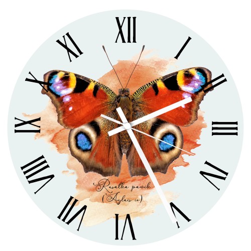 Zegar - Rusałka pawik /Aglais io/ - prezent dla Lepidopterologa, prezent dla entomologa