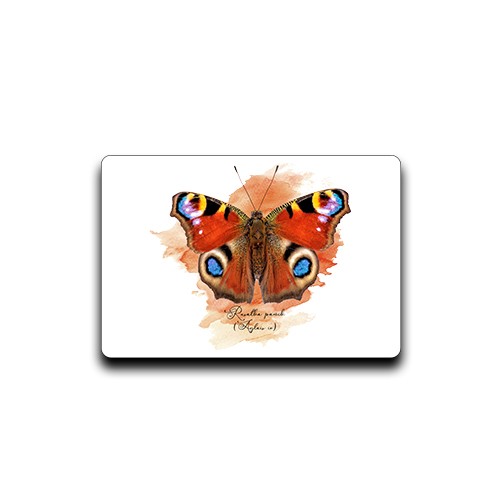 Rusałka pawik /Aglais io/- prezent dla Lepidopterologa, prezent dla entomologa - Magnes