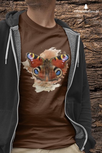Rusałka pawik /Aglais io/ - prezent dla Lepidopterologa, prezent dla entomologa - Koszulka damska / męska