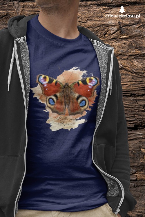Rusałka pawik /Aglais io/ - prezent dla Lepidopterologa, prezent dla entomologa - Koszulka damska / męska