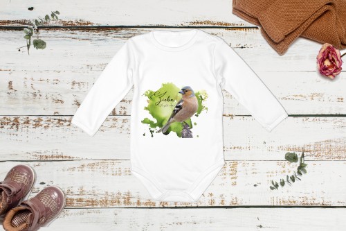 Zięba /Fringilla coelebs/ - Body - Bodziak