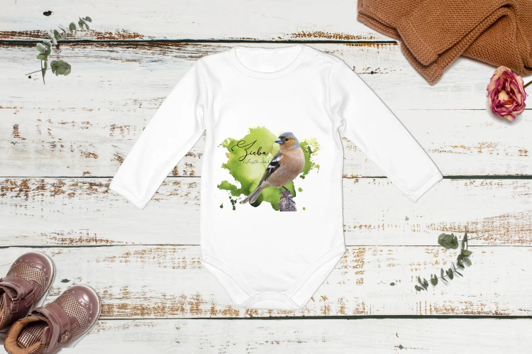 Zięba /Fringilla coelebs/ - Body - Bodziak