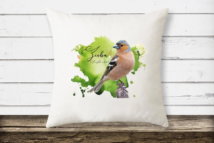 Zegar - prezent dla ornitologa - Zięba /Fringilla coelebs/