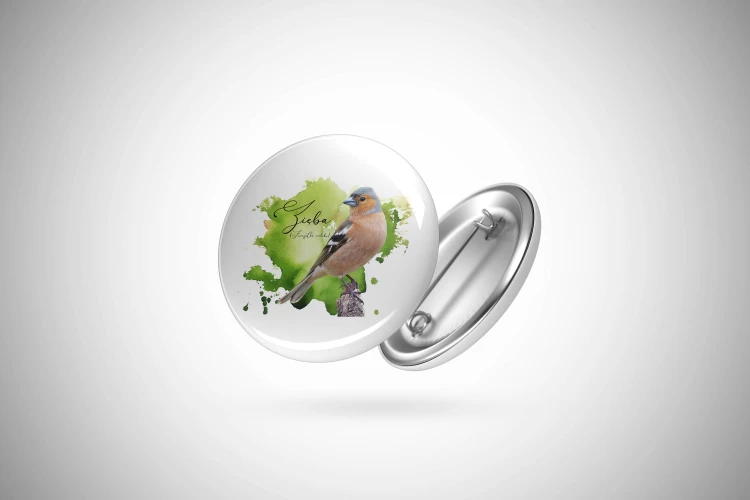 Zięba /Fringilla coelebs/ - prezent dla ornitologa - Przypinka - Button
