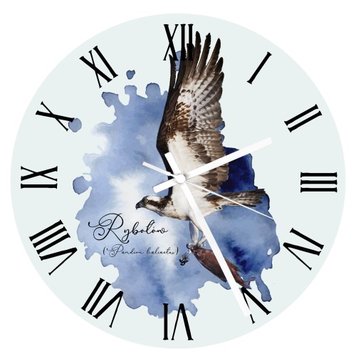 Rybołów /Pandion haliaetus/  - prezent dla Ornitologa - Zegar
