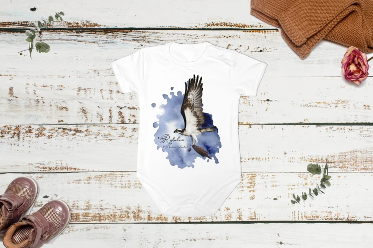 Rybołów /Pandion haliaetus/ - Body - Bodziak