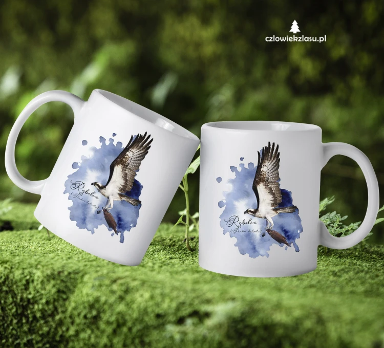 Rybołów /Pandion haliaetus/ - prezent dla Ornitologa - Kubek ceramiczny