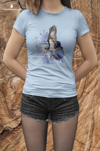 Rybołów /Pandion haliaetus/ - prezent dla Ornitologa - Koszulka damska / męska