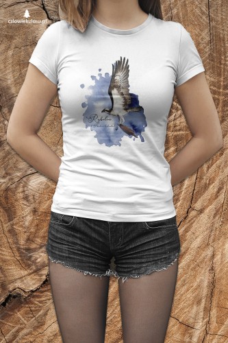 Rybołów /Pandion haliaetus/ - prezent dla Ornitologa - Koszulka damska / męska