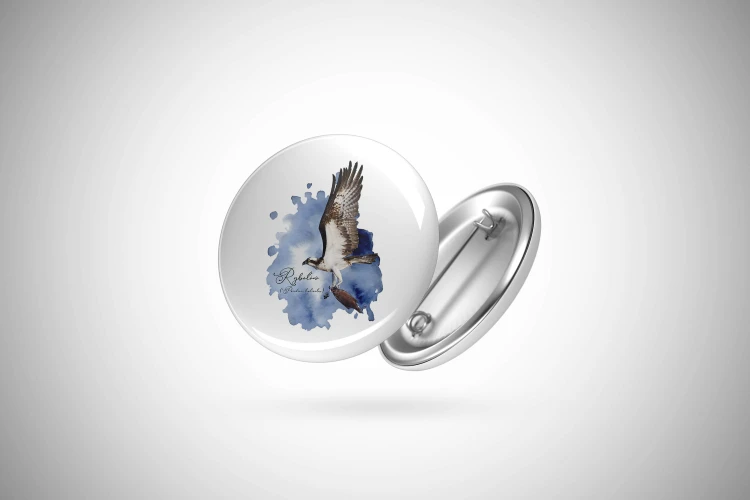 Rybołów /Pandion haliaetus/ - prezent dla Ornitologa - Przypinka - Button