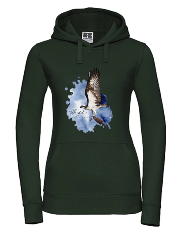 Rybołów /Pandion haliaetus/ - prezent dla Ornitologa - Bluza z kapturem / Bluza bez kaptura