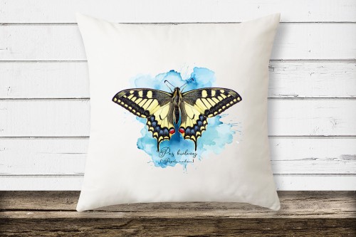 Paź królowej /Papilio machaon/ - prezent dla Lepidopterologa, prezent dla entomologa - Poduszka