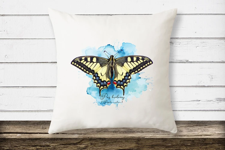 Paź królowej /Papilio machaon/ - prezent dla Lepidopterologa, prezent dla entomologa - Poduszka