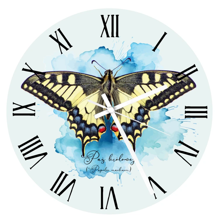 Paź królowej /Papilio machaon/ - prezent dla Lepidopterologa, prezent dla entomologa - Zegar