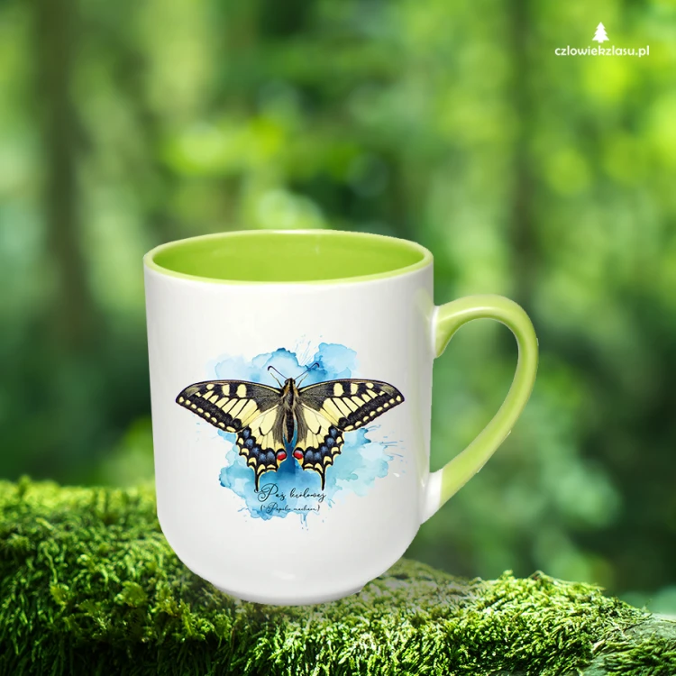 Paź królowej /Papilio machaon/ - prezent dla Lepidopterologa, prezent dla entomologa - Kubek coffee
