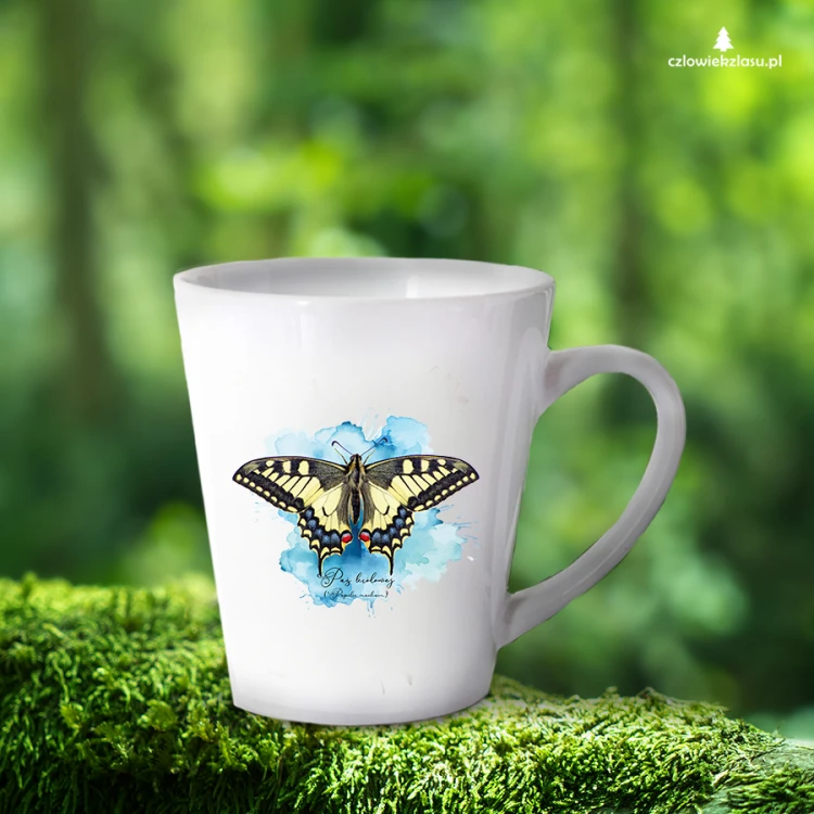 Paź królowej /Papilio machaon/ - prezent dla Lepidopterologa, prezent dla entomologa - Kubek latte