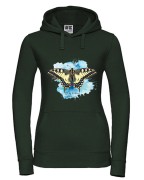 Paź królowej /Papilio machaon/ - prezent dla Lepidopterologa, prezent dla entomologa - Bluza
