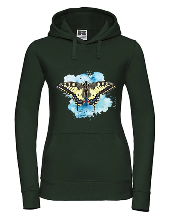 Paź królowej /Papilio machaon/ - prezent dla Lepidopterologa, prezent dla entomologa - Bluza
