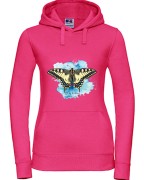 Paź królowej /Papilio machaon/ - prezent dla Lepidopterologa, prezent dla entomologa - Bluza