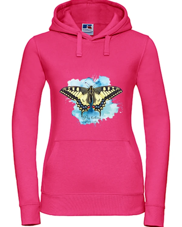 Paź królowej /Papilio machaon/ - prezent dla Lepidopterologa, prezent dla entomologa - Bluza