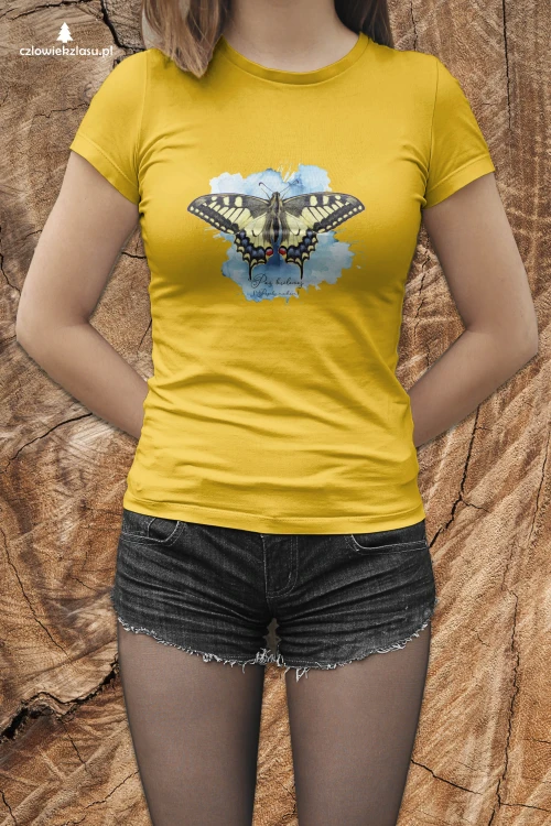 Paź królowej /Papilio machaon/ - prezent dla Lepidopterologa, prezent dla entomologa - Poduszka