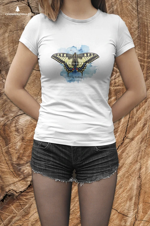 Paź królowej /Papilio machaon/ - prezent dla Lepidopterologa, prezent dla entomologa - Poduszka