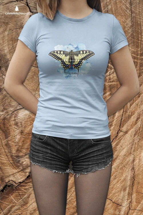 Paź królowej /Papilio machaon/ - prezent dla Lepidopterologa, prezent dla entomologa - Poduszka