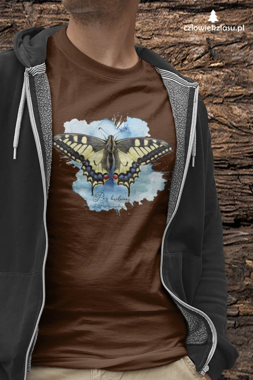 Paź królowej /Papilio machaon/ - prezent dla Lepidopterologa, prezent dla entomologa - Poduszka