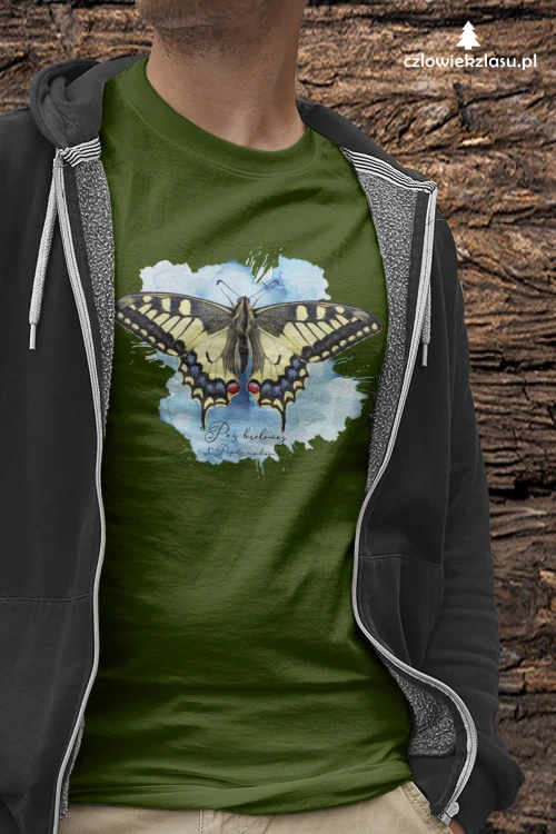 Paź królowej /Papilio machaon/ - prezent dla Lepidopterologa, prezent dla entomologa - Poduszka