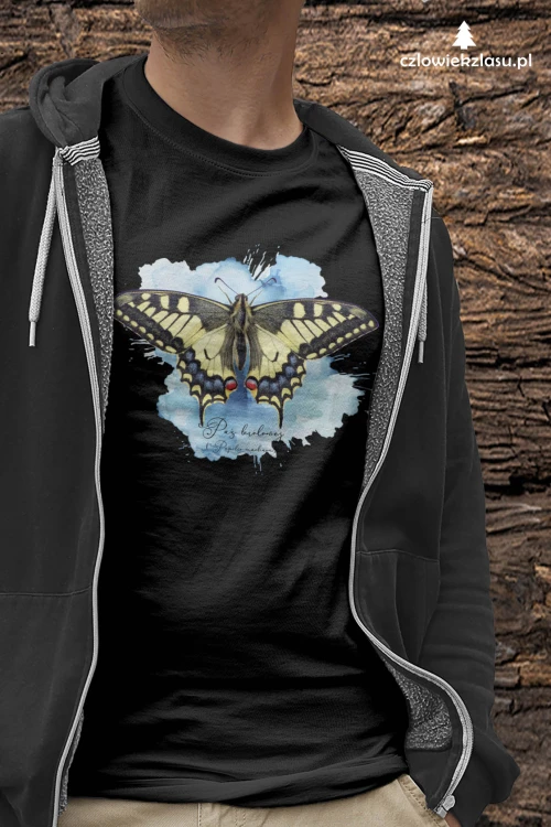 Paź królowej /Papilio machaon/ - prezent dla Lepidopterologa, prezent dla entomologa - Poduszka